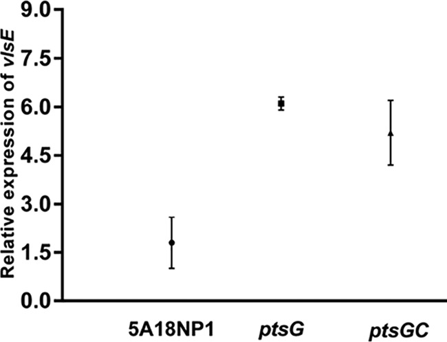 FIG 5