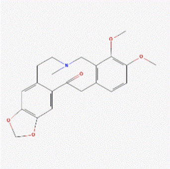 graphic file with name FPHYS_fphys-2023-1175227_wc_tfx4.jpg