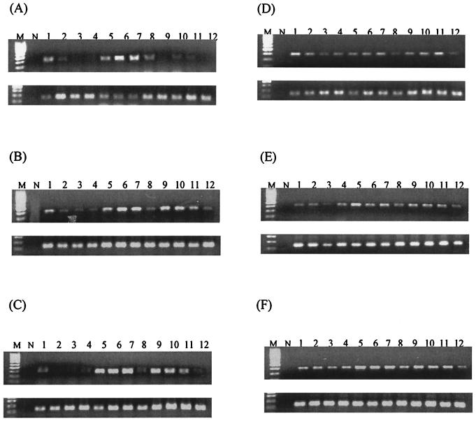 FIG. 2.