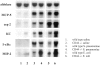 Figure 9.