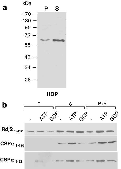 Fig. 6