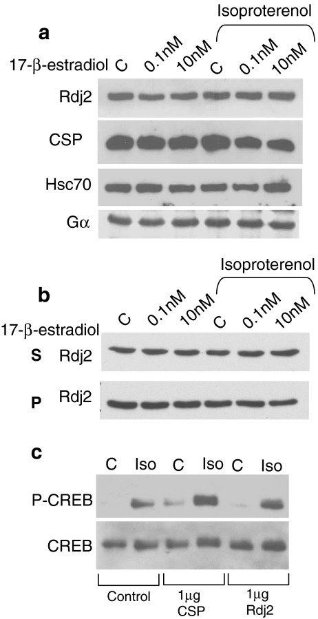 Fig. 8