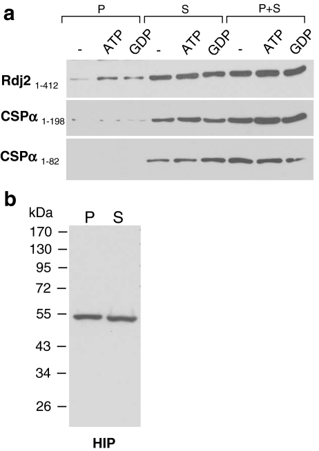 Fig. 7