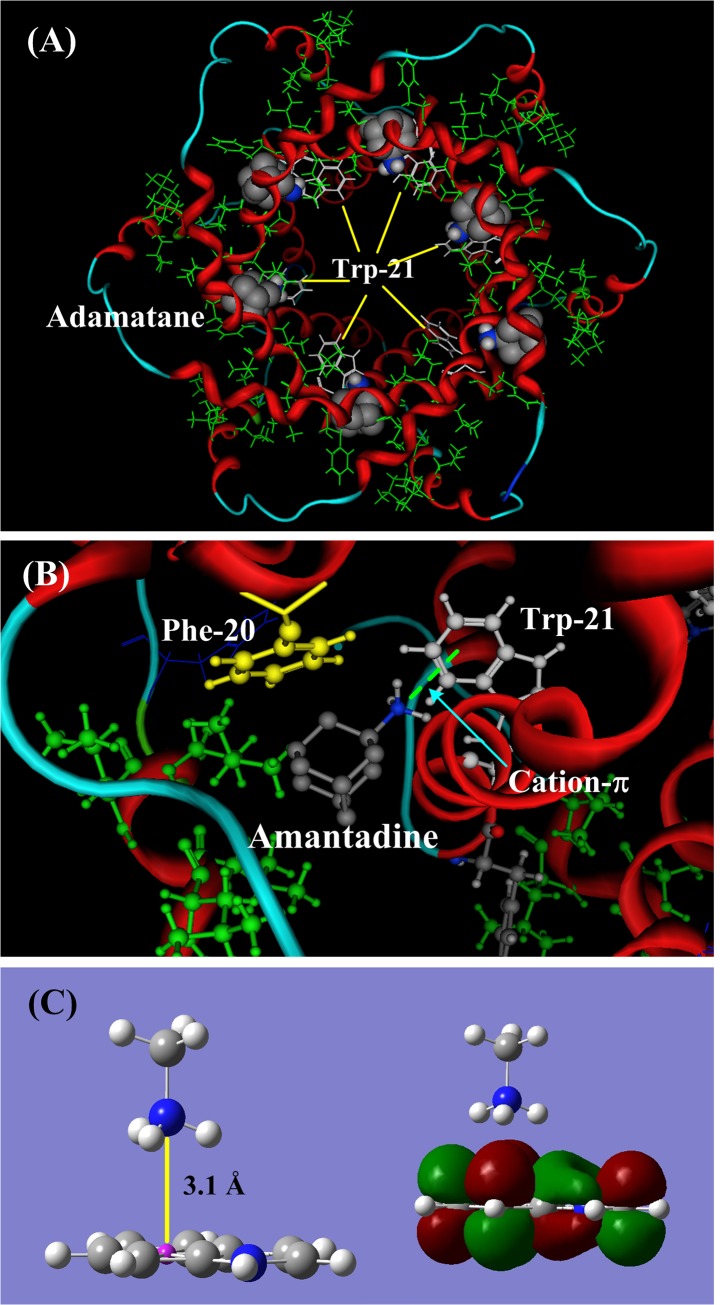 Fig 7