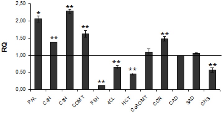 FIGURE 1