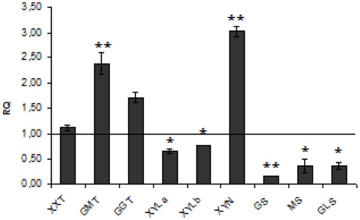 FIGURE 3