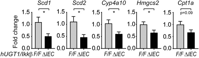 Fig. S6.