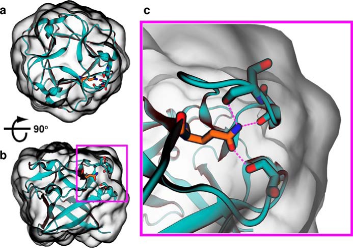 Figure 6.