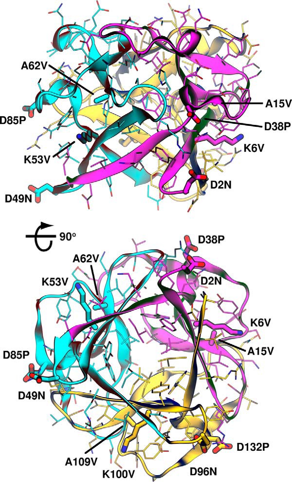 Figure 4.