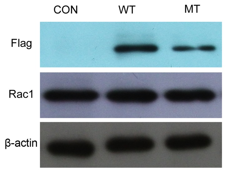 Figure 3.