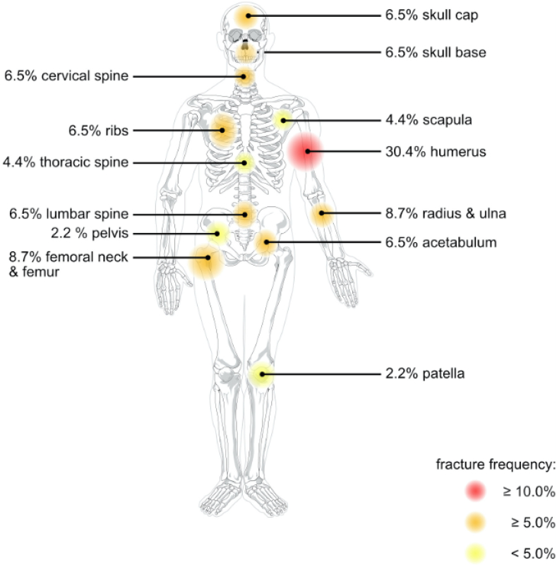 Fig. 1