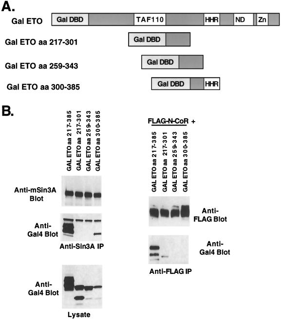 FIG. 7