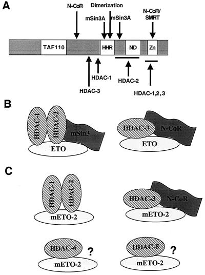 FIG. 11