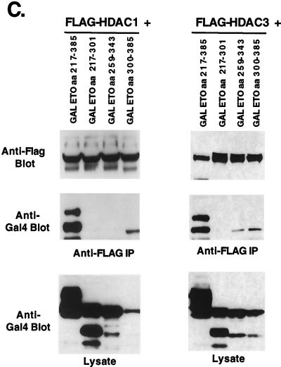 FIG. 7