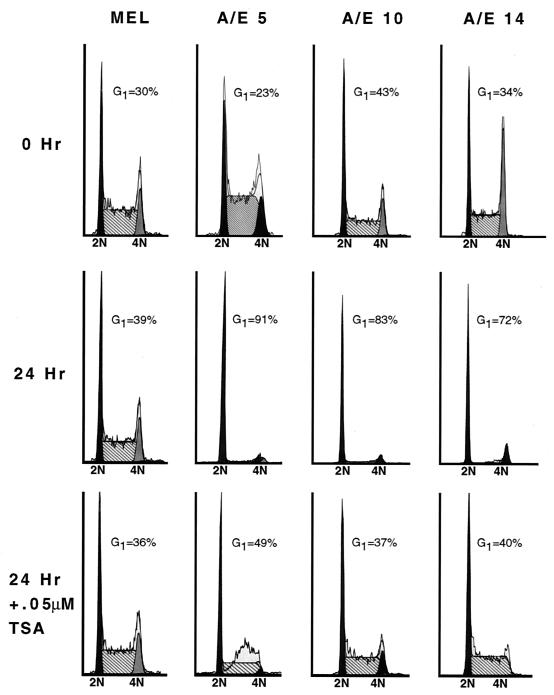 FIG. 10