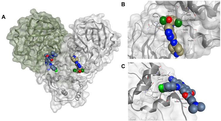 Figure 7