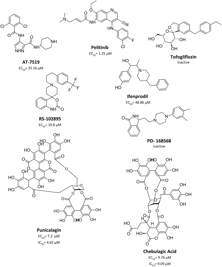 Figure 6