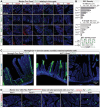 Figure 3—figure supplement 2.
