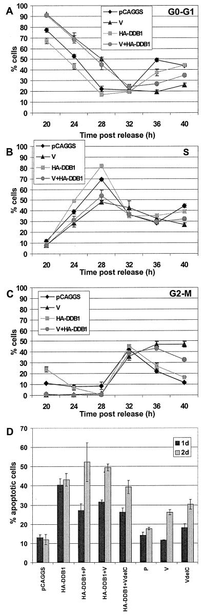 FIG. 7