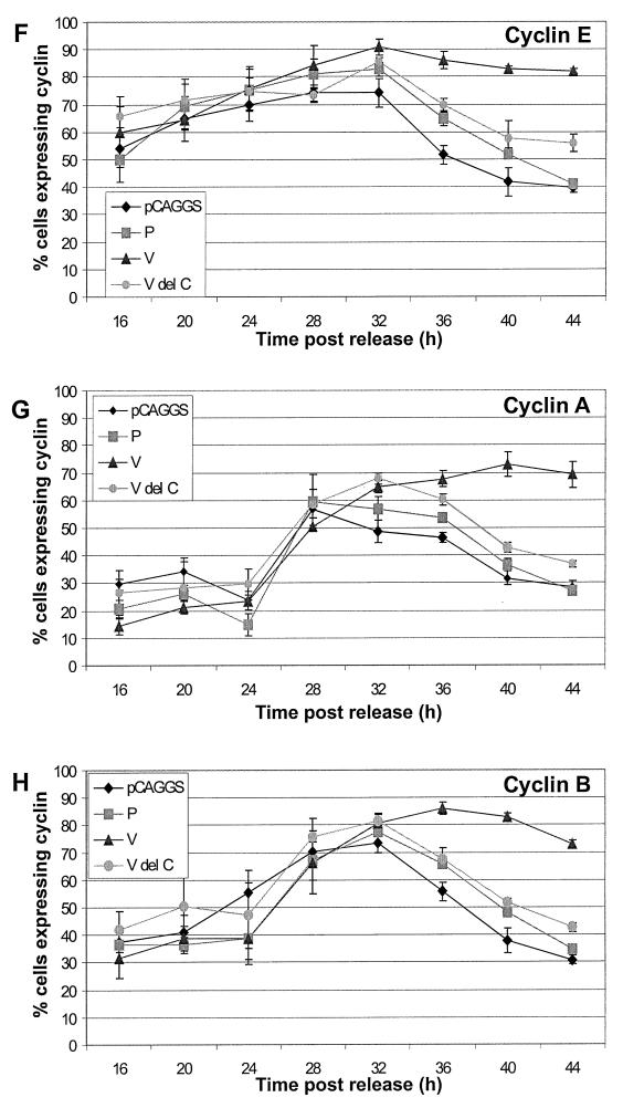 FIG. 6