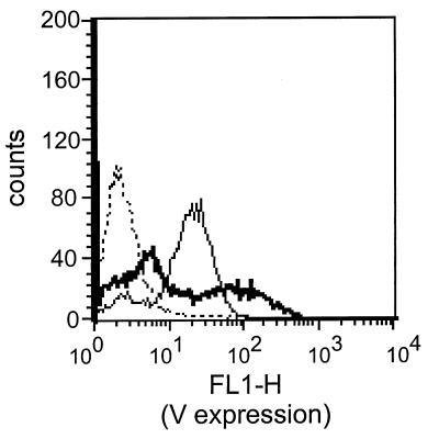 FIG. 5