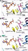 Figure 5-