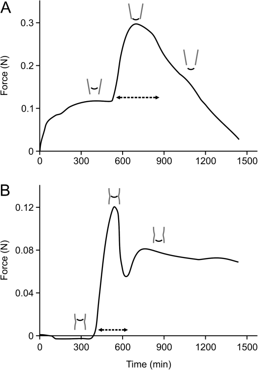 Fig. 5.