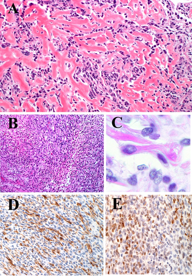 Fig. 2