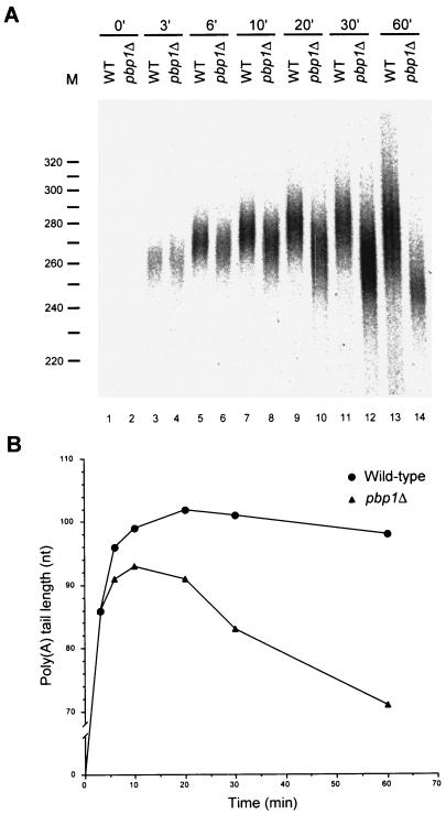 FIG. 7.