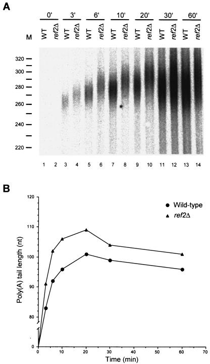 FIG. 5.