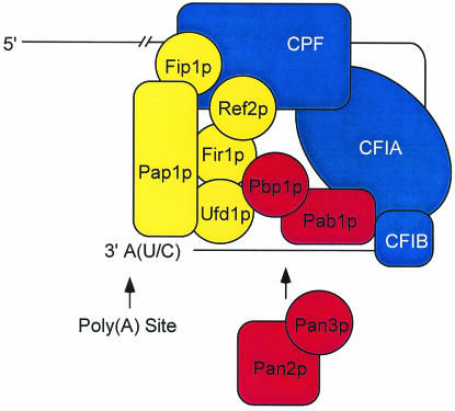 FIG. 10.