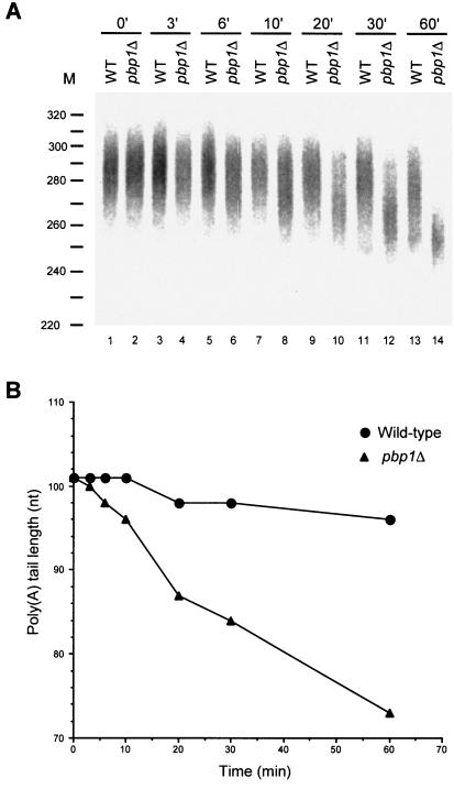 FIG. 8.