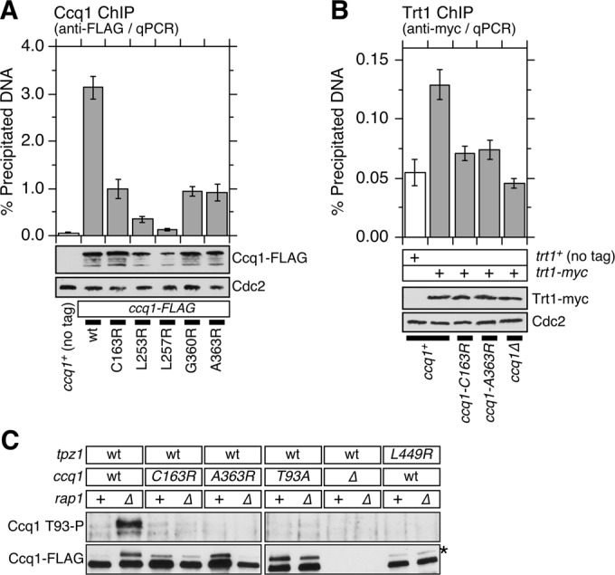 FIGURE 5: