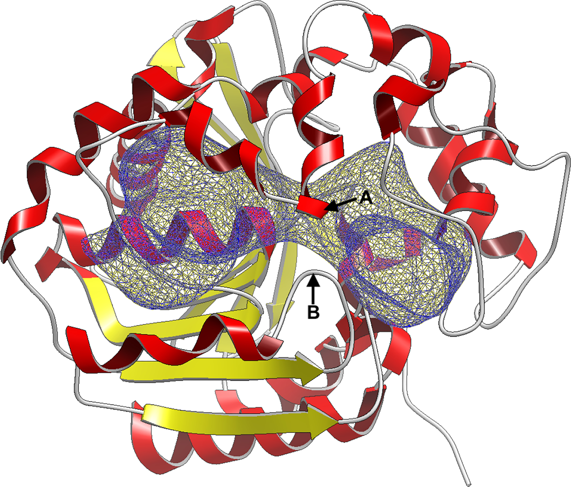 Figure 3: