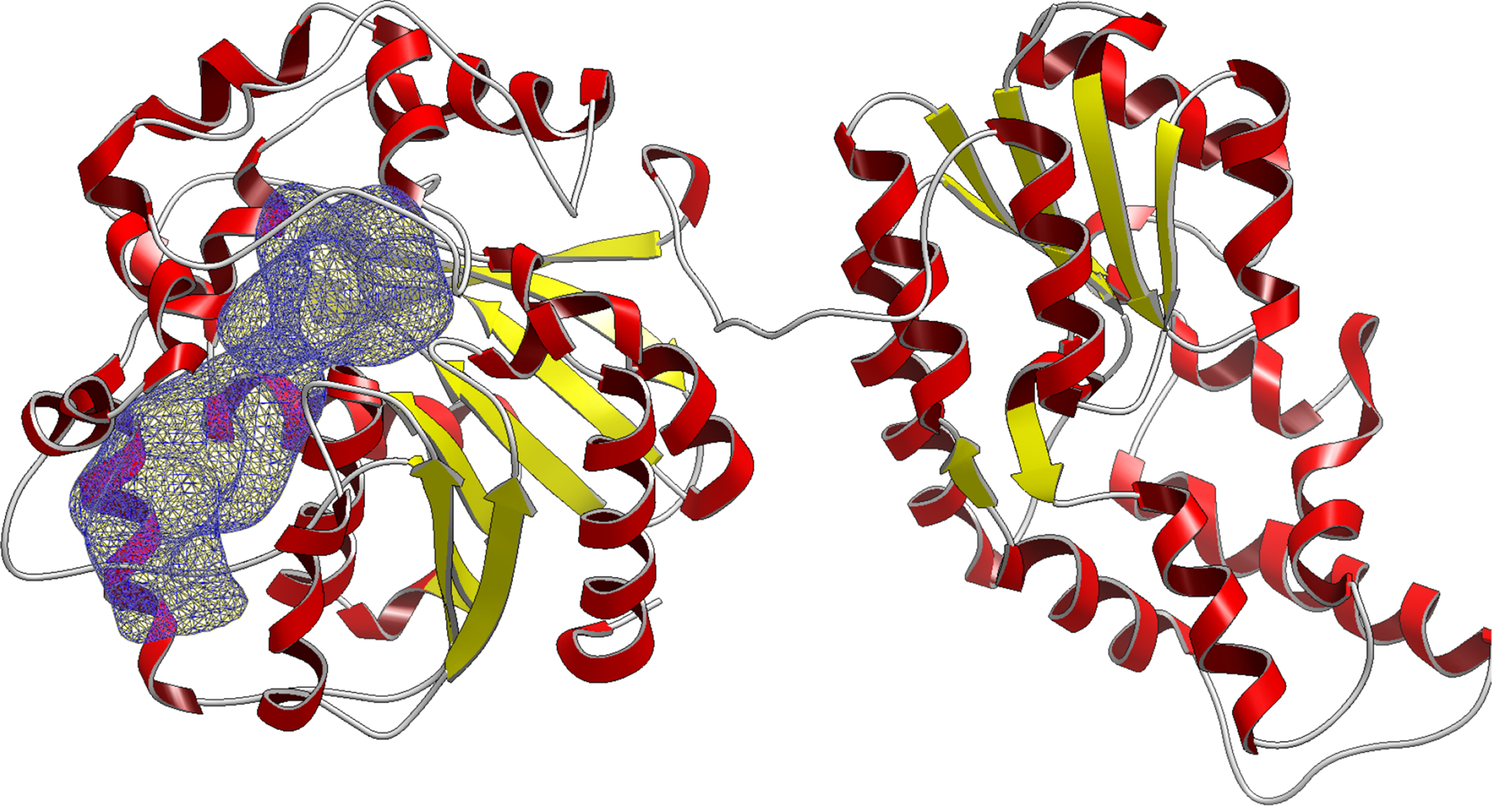 Figure 1: