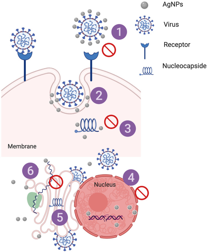 FIGURE 2