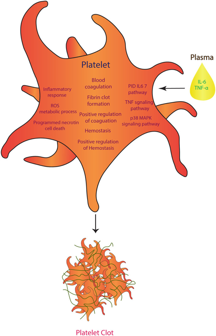 Fig. 4