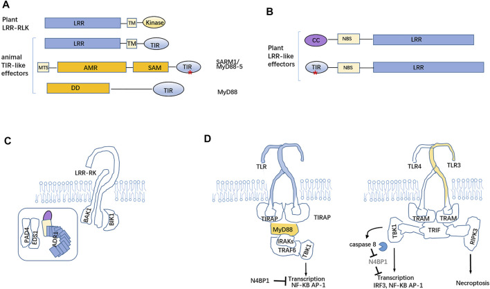 FIGURE 3