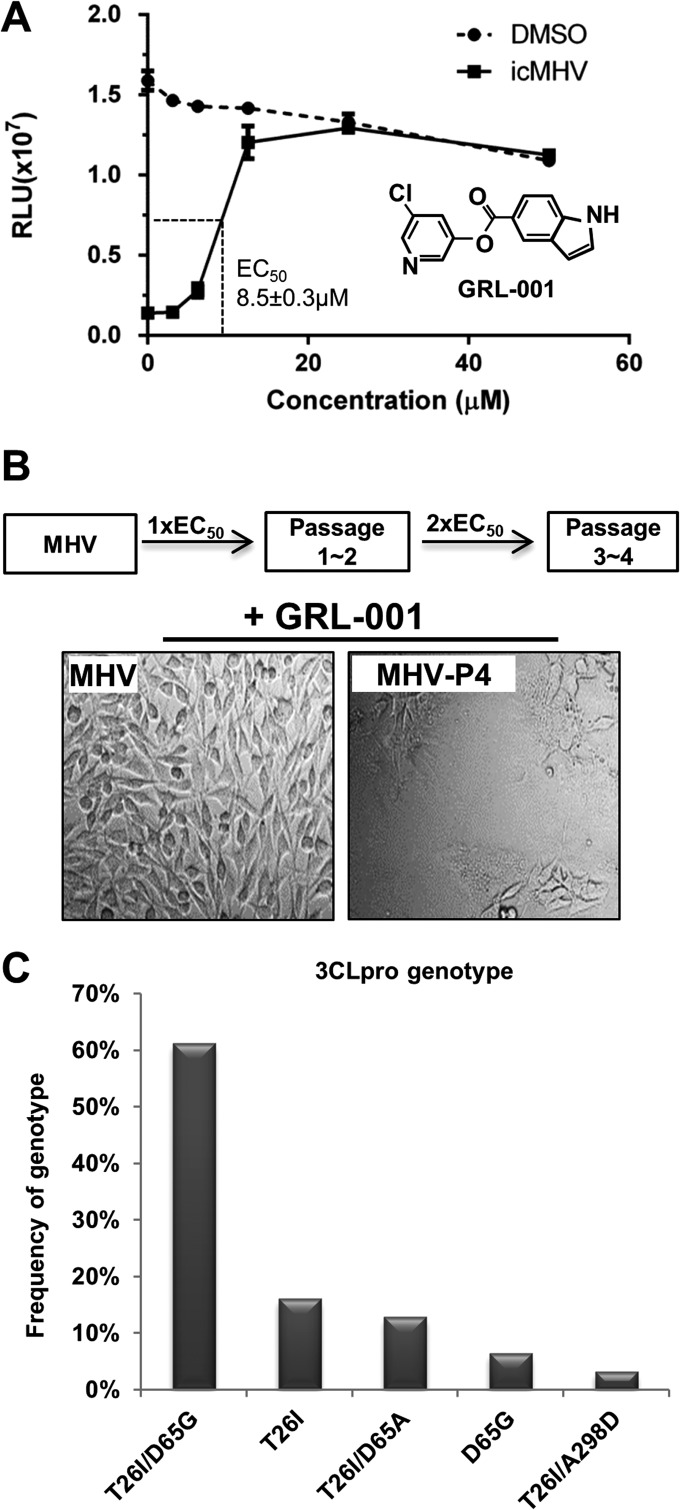 FIG 1