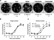 FIG 3