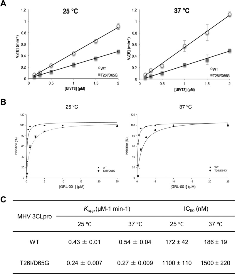 FIG 6