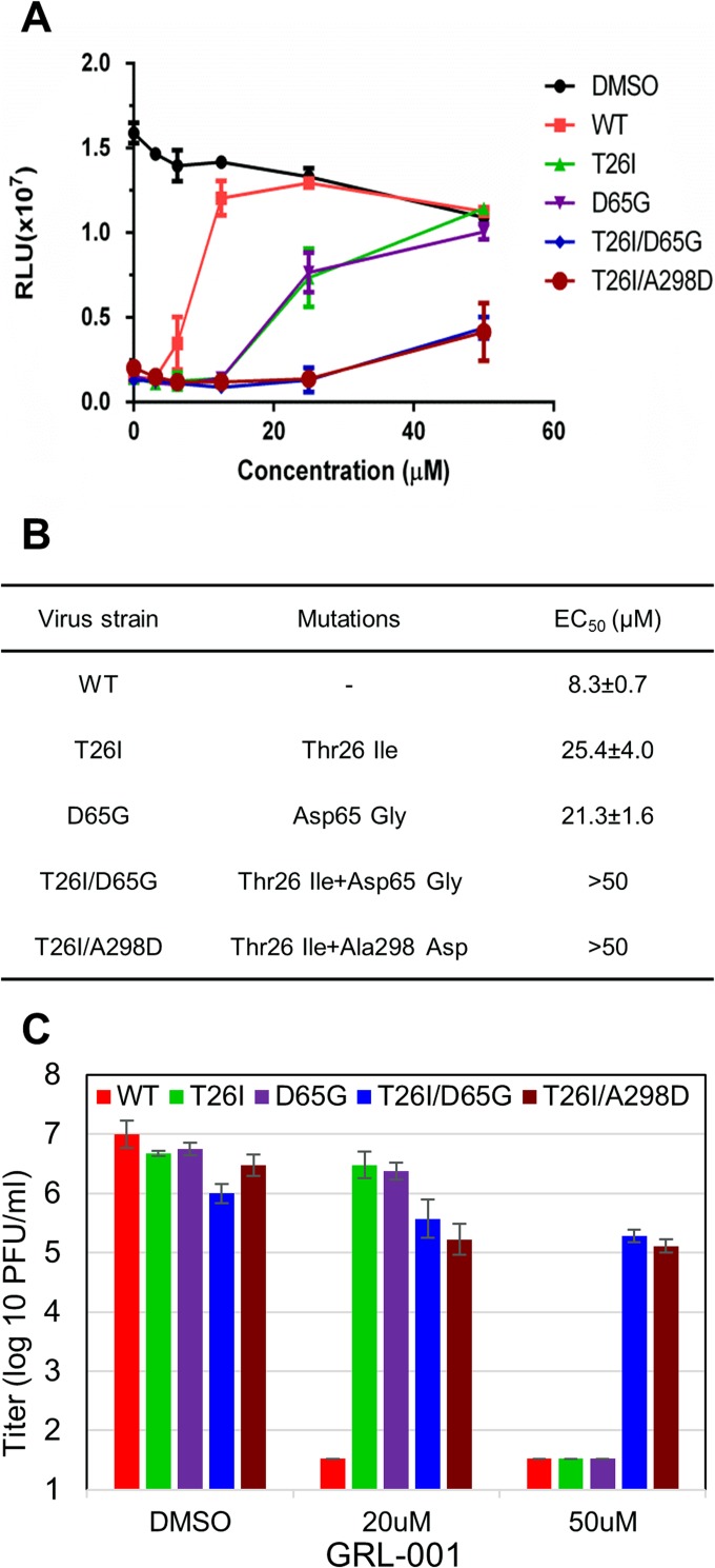 FIG 2