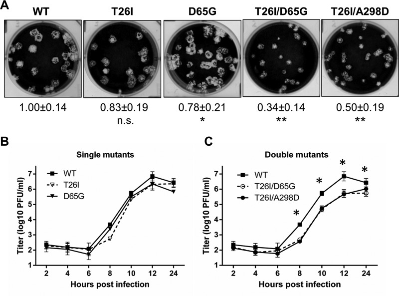 FIG 3