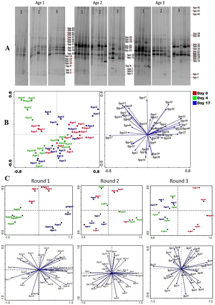 Figure 6: