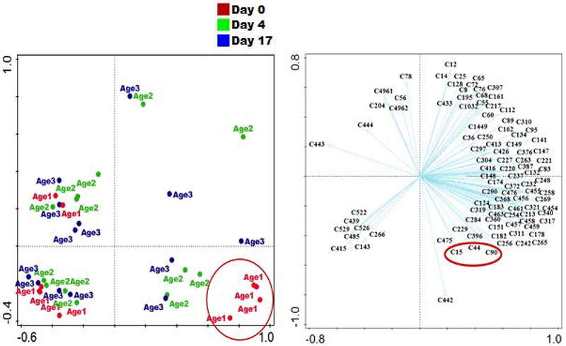 Figure 5: