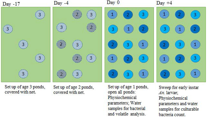 Figure 1: