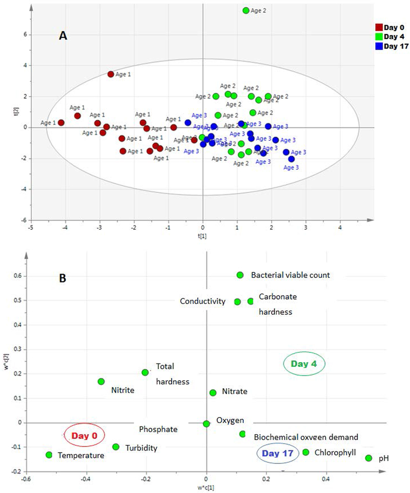 Figure 4: