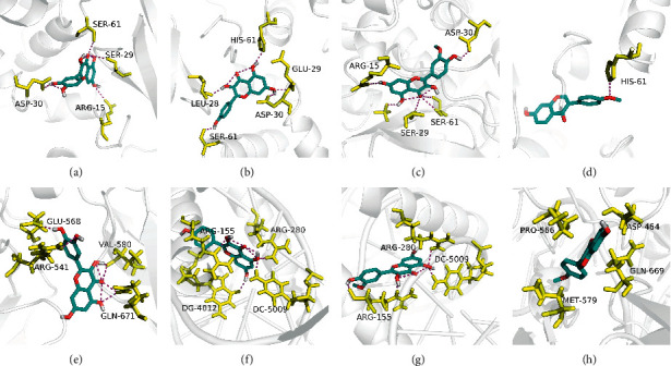 Figure 7