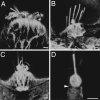 Fig. 3.