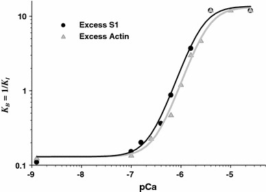 Fig. 5